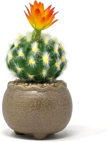 allgala Small Desktop Artificial Succulent Plant with Natural Clay Pot in Saudi Arabia