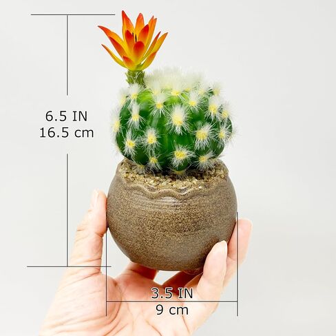 allgala Small Desktop Artificial Succulent Plant with Natural Clay Pot in Saudi Arabia