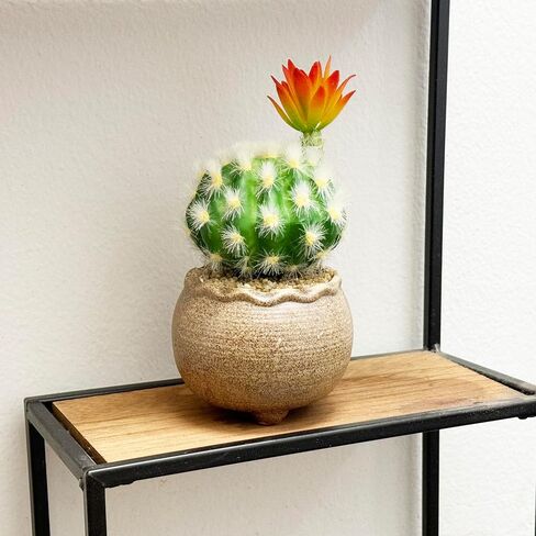 allgala Small Desktop Artificial Succulent Plant with Natural Clay Pot in Saudi Arabia