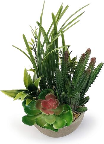 allgala Small Desktop Artificial Succulent Plant with Natural Clay Pot in Saudi Arabia