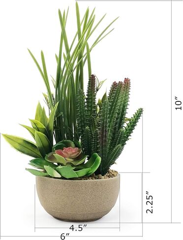 allgala Small Desktop Artificial Succulent Plant with Natural Clay Pot in Saudi Arabia