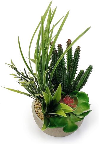 allgala Small Desktop Artificial Succulent Plant with Natural Clay Pot in Saudi Arabia