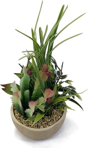 allgala Small Desktop Artificial Succulent Plant with Natural Clay Pot in Saudi Arabia