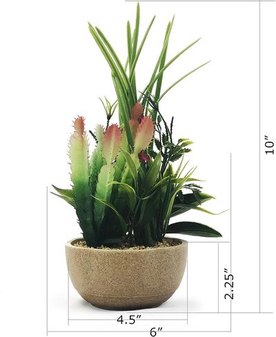 allgala Small Desktop Artificial Succulent Plant with Natural Clay Pot in Saudi Arabia