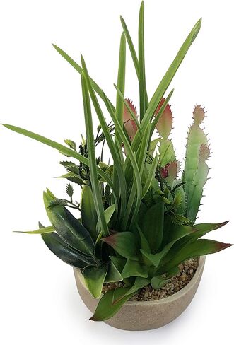 allgala Small Desktop Artificial Succulent Plant with Natural Clay Pot in Saudi Arabia