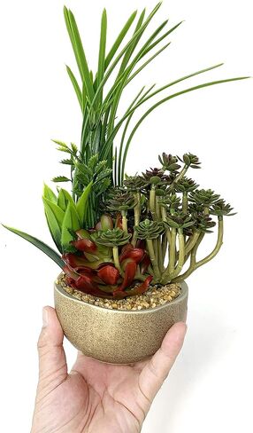allgala Small Desktop Artificial Succulent Plant with Natural Clay Pot in Saudi Arabia
