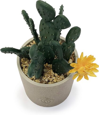 allgala Small Desktop Artificial Succulent Plant with Natural Clay Pot in Saudi Arabia