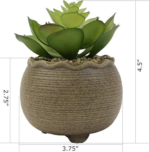 allgala Small Desktop Artificial Succulent Plant with Natural Clay Pot in Kuwait