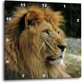 3D Rose Portrait of African Wildlife Lion Animal Style Wall Clock, 13" x 13"