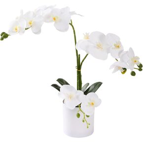 ucky Butterfly Orchid Bonsai, 21 Inch White Artificial Flowers, Realistic Plastic Flower Fake Flowers, for Home Table and Cabinet Decoration, Party and Wedding Decor Flowers