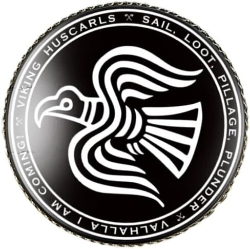 vmcoatdu Round 1 Inch Viking Compass' Nordic Rune Pin Brooch Metal and Inlay Glass Revivalism Style Souvenir Badge Brooch for Hat Clothes Backpack in Saudi Arabia