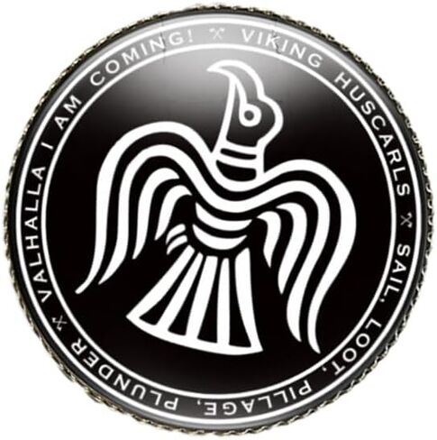 vmcoatdu Round 1 Inch Viking Compass' Nordic Rune Pin Brooch Metal and Inlay Glass Revivalism Style Souvenir Badge Brooch for Hat Clothes Backpack in Saudi Arabia
