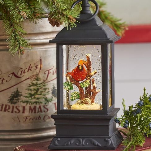 Lighted Snow Globe Lantern: 9.5 Inch, Black Holiday Water Lantern by RAZ Imports (Cardinal) in Saudi Arabia