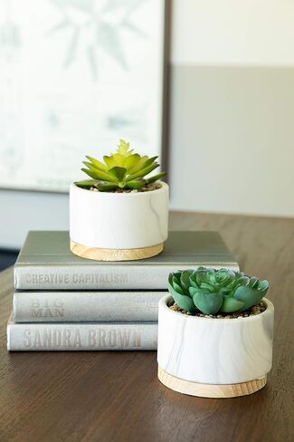 نبات صناعي من فلورا بوندا نبات عصاري صناعي في وعاء سيراميك رخامي مقاس 10.16 سم بقاعدة خشبية في منتصف القرن، رخام، مجموعة من 2 in Kuwait