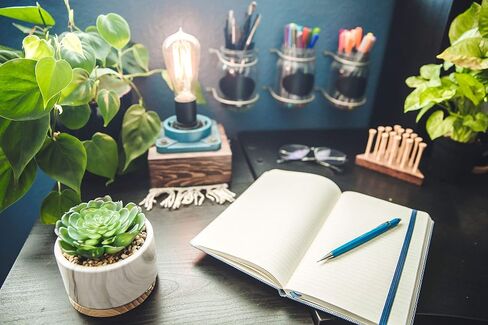 نبات صناعي من فلورا بوندا نبات عصاري صناعي في وعاء سيراميك رخامي مقاس 10.16 سم بقاعدة خشبية في منتصف القرن، رخام، مجموعة من 2 in Kuwait