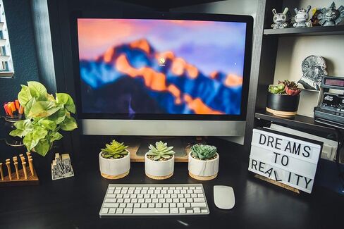 نبات صناعي من فلورا بوندا نبات عصاري صناعي في وعاء سيراميك رخامي مقاس 10.16 سم بقاعدة خشبية في منتصف القرن، رخام، مجموعة من 2 in Kuwait