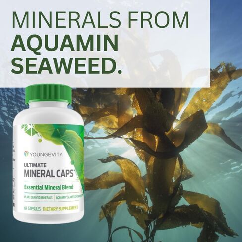 Youngevity Ultimate Mineral Caps™ - 70+ Essential Full Spectrum Trace Minerals - Nutrient-Dense, Derived from Humic & Aquamin Seaweed (64 Capsule) in Saudi Arabia