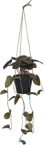 Creative Co-Op Faux Watermelon Begonia Plant in Plastic Pot, Green in Saudi Arabia