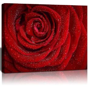 QTESPEII Framed Flower Wall Art, Red and White Blooming Poppies Oil Painting Canvas Print Pictures Floral Plants Wall Decor Modern Artwork for Living Room Bathroom Bedroom Home Decoration, 12"x16"