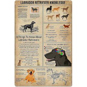 Retro Labrador Retriever Knowledge Metal Tin Sign Vintage Coffee Wall Coffee Bar Decor 8x12 Inch Tin Sign Wall Decoration