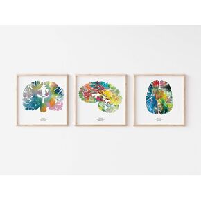 Psychology Wall Art,The Human Brain,Nurse Gift + Medical Student Gift,Neuroscience Wall Art,12"x12" Brain Art Print Set of 3,Graduation and Thoughtful Gifts for Teachers,Signed by J. Sayuri
