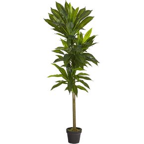 Nearly Natural 6ft. Dracaena Silk Plant (Real Touch)