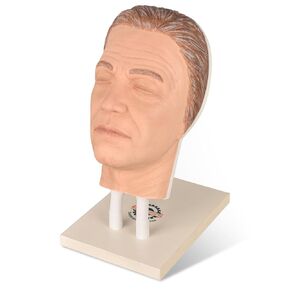 Silicone Injection Mannequin Face Training Model, Makeup Head Model with Common Facial Issues for Micro-Plastic Teaching,Injection Training to Aestheticians, Plastic Surgeons,James Model in Saudi Arabia