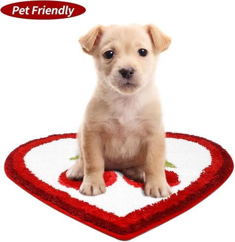 Cherry Bath Mat Cute Fruit Bathroom Rugs and Mat for Bathroom Heart Shaped Shower Rugs Non Slip Plush Microfiber Shower Rugs Absorbent Tub Floor Bathtub Mat Carpet Washable, 25.6x23.6 Inch in Saudi Arabia