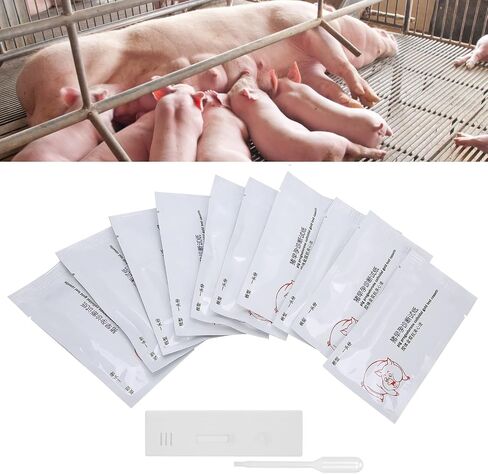 Pig Pregnancy Test Strip, Pack of 10 Disposable Pig Pregnancy Test Strip Early Pregnant Detection Testing Tool Veterinary Equipment Livestock Supply for Pig Early Pregnancy Testing in Saudi Arabia