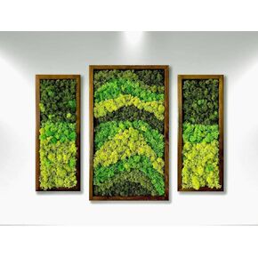 لوحة فنية جدارية من lagom Moss، طحالب فنية جدارية خضراء، طحالب محفوظة، فن حائط، ديكور منزلي مصنوع يدويًا، إطار من الخشب الطبيعي، مجموعة من 3، إطار أسود (إطار بني، 1)