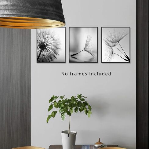 Black and White Wall Art Prints Posters Minimalist Decor, 8x10 Canvas Prints Unframed Set of 3, Plant Posters Aesthetic for Living Room in Kuwait