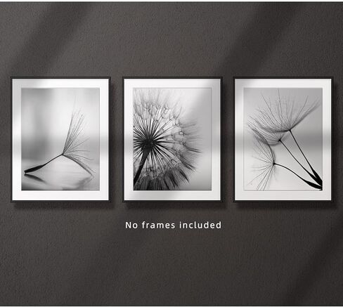 Black and White Wall Art Prints Posters Minimalist Decor, 8x10 Canvas Prints Unframed Set of 3, Plant Posters Aesthetic for Living Room in Kuwait