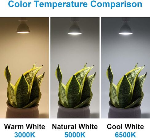 مصابيح LED ORALUCE GU10، 6 وات تعادل لمبة هالوجين 50 وات، غير قابلة للتعتيم، 6500 كلفن أبيض بارد، 120 فولت، 480 لومن، زاوية شعاع الفيضان 120 درجة، شكل MR16 لإضاءة المسار، حزمة من 6 in Kuwait