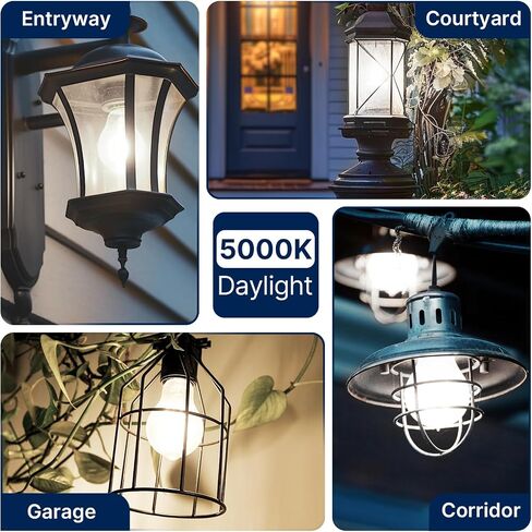 FLSNT 200W Equivalent A23 LED Light Bulbs, Efficient 17W, 3010Lumens, 5000K Daylight, CRI82, E26 Medium Base, Clear Glass, 4 Pack, Non-Dimmable in Saudi Arabia
