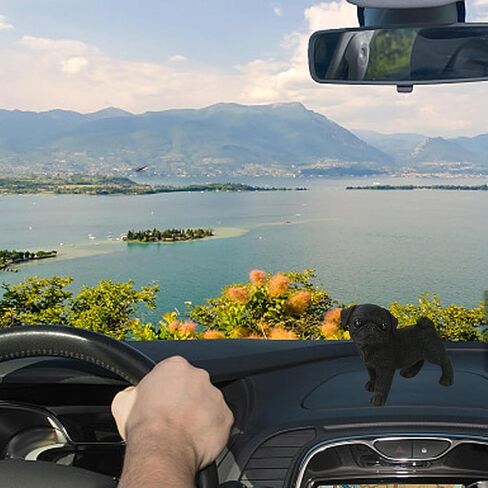 Resin Dog Statue Decoration Miniature Craft Nonslip Animal Ornaments Pug Figurine Sculpture for Auto Dashboard Desk Indoor Living Room Lawn, Black in Saudi Arabia