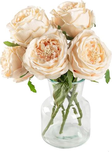 DuHouse 5Pcs Silk Roses Fake Champagne Roses with Stems Real Touch Rose Artificial Flowers for Arrangement Wedding Party Home Decoration in Saudi Arabia