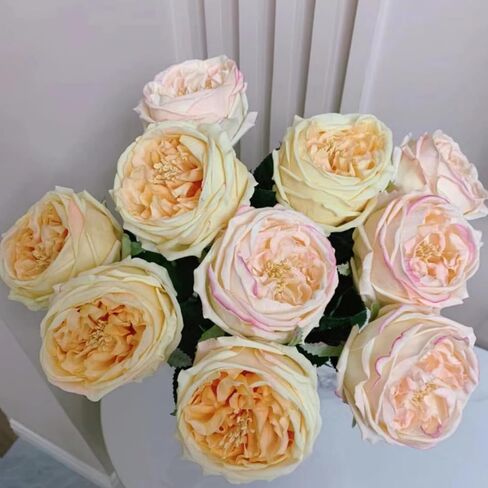 DuHouse 5Pcs Silk Roses Fake Champagne Roses with Stems Real Touch Rose Artificial Flowers for Arrangement Wedding Party Home Decoration in Saudi Arabia