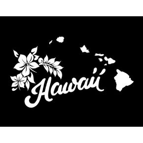ND305W State Of Hawaii Decal Sticker | 8-Inches By 4.6-Inches | Premium Quality White Vinyl