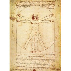Vitruvian Man by Leonardo Da Vinci Poster - Proportions of the Human Figure Drawing - Fine Art Print (LAMINATED, 18" x 24")