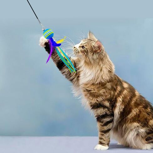PET SHOW 5 Pack 1.4" Cat Feather Tassel Toys Balls with Bell Soft EVA Foam Colorful Rainbow Toy Balls Interactive Kitten Cats Pets Indoor Outdoor Play Activity Chase Training in Saudi Arabia