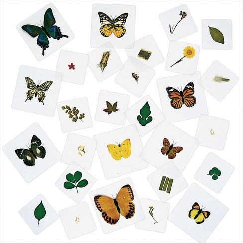 Excellerations Educational Laminated Specimen Set of 28 for STEM Nature Study (Item # Study) in Kuwait