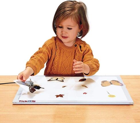 Excellerations Educational Laminated Specimen Set of 28 for STEM Nature Study (Item # Study) in Kuwait