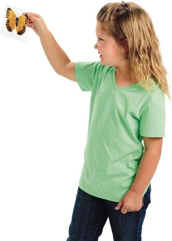 Excellerations Educational Laminated Specimen Set of 28 for STEM Nature Study (Item # Study) in Kuwait