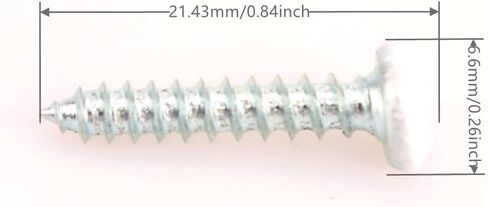120 قطعة # 6 × 3/4 بوصة برغي خشب فيليبس برأس مقبب، براغي صفائح معدنية، مطلية بالزنك، رؤوس بيضاء in Kuwait