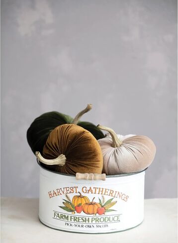 دلو معدني "تجمعات الحصاد" من Creative Co-Op بمقبض، متعدد الألوان in Saudi Arabia