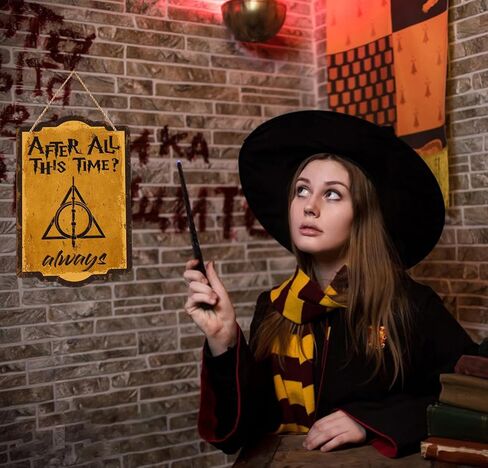 D4DREAM Vintage بعد كل هذا الوقت دائمًا ديكور الحائط السحري السحري موضوع لوحة معلقة للباب، ديكور غرفة معلقة مضحك، ديكور معلق للباب، لافتة باب للمنزل، باب المزرعة، لوازم الحفلات in Kuwait