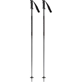 Rossignol Tactic Grey/Black Ski Poles, Men, Mens, RDI2010, Gray/Black