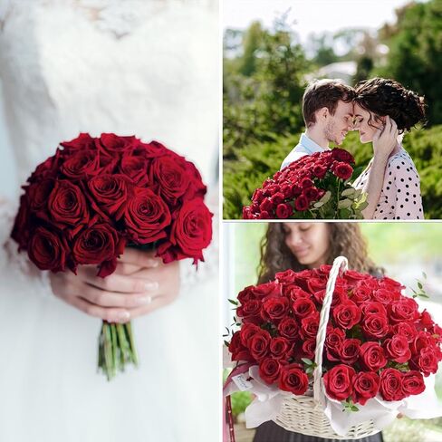 15 قطعة من الورود الاصطناعية من U'Artlines، ورود حريرية ذات سيقان طويلة، باقة ورد مخملية صناعية ذات ملمس حقيقي، زهور وهمية لعيد الحب وعيد الأم وديكور المنزل والزفاف، أحمر in Kuwait