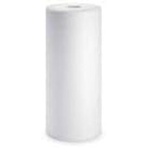 CFS – 1 Pack Heavy Duty Water Filter Cartridge Compatible with RS16-SS2-S06, BF6, BF7, BF9C, BF35, BF36, BF36C – Removes Bad Taste and Odor – Whole House Replacement Filter Cartridge – 1 Micron