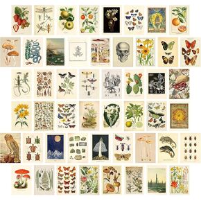Dazzlewall 50PCS Vintage Wall Collage Kit Aesthetic Pictures for Bedroom Living Room Dormitory Vintage Botanical Wall Decor Poster 4x6in Double-Sided Printing